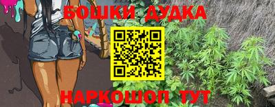 МДПВ Бийск